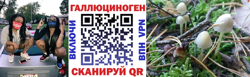 Псилоцибиновые грибы мицелий  Почеп 